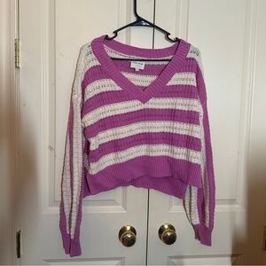 Pink Rose Striped Sweater - Side Large